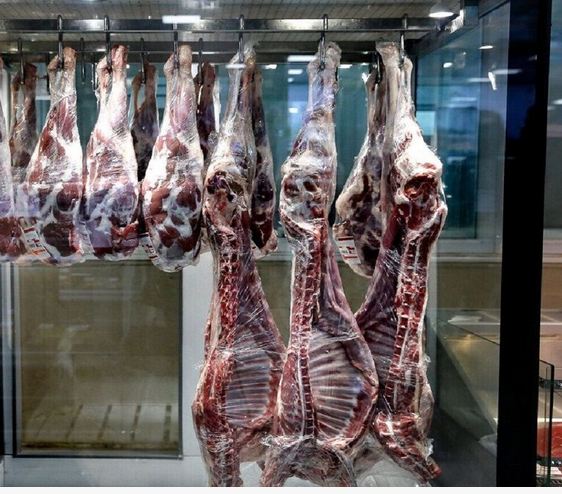۴۰۰ تن گوشت قرمز واراداتی به بوشهر اختصاص یافت